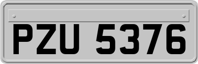 PZU5376