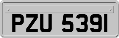 PZU5391