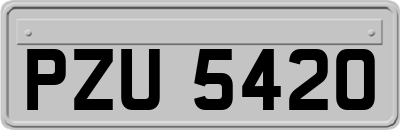 PZU5420