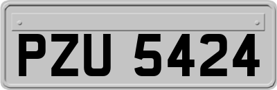 PZU5424