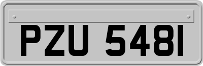 PZU5481