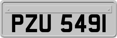 PZU5491