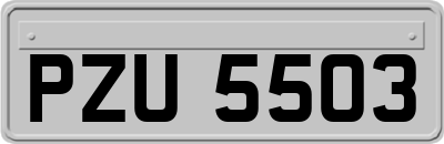 PZU5503