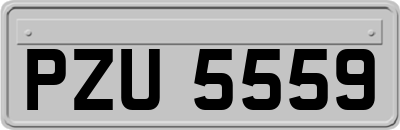 PZU5559