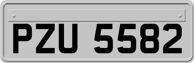 PZU5582