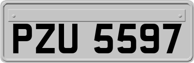 PZU5597