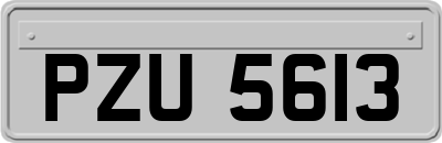 PZU5613