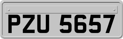 PZU5657