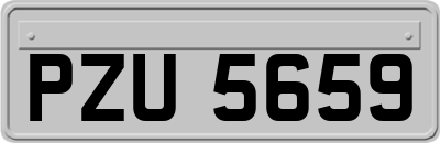 PZU5659