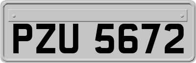 PZU5672