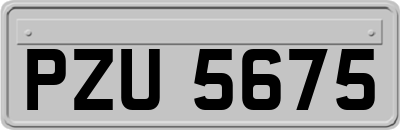 PZU5675