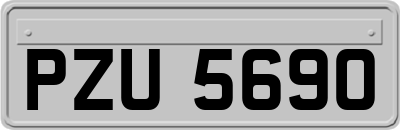 PZU5690