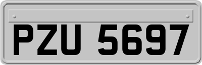 PZU5697