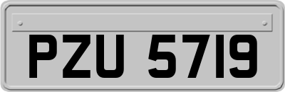 PZU5719