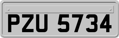 PZU5734