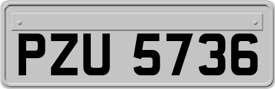 PZU5736