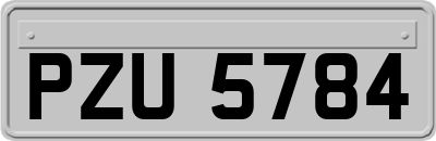 PZU5784