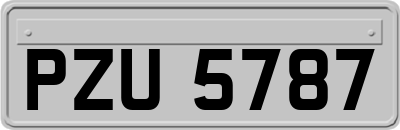 PZU5787