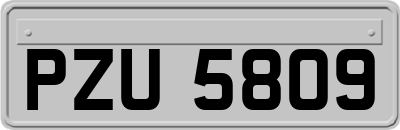 PZU5809