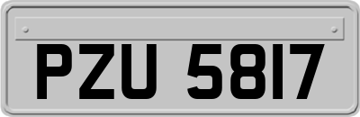 PZU5817