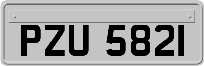 PZU5821