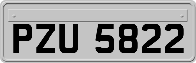 PZU5822