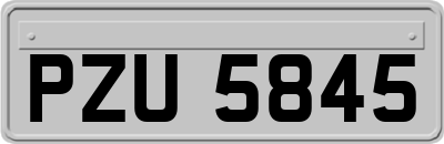 PZU5845