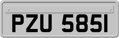 PZU5851