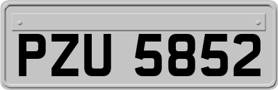 PZU5852