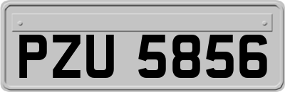 PZU5856