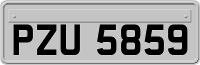 PZU5859