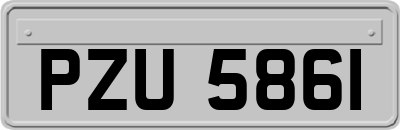 PZU5861