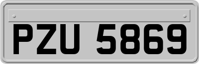 PZU5869