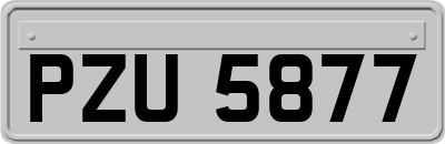 PZU5877