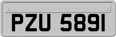 PZU5891