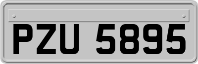 PZU5895