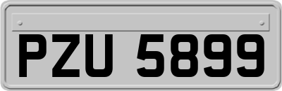 PZU5899