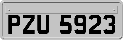 PZU5923