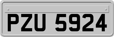 PZU5924