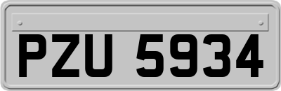 PZU5934