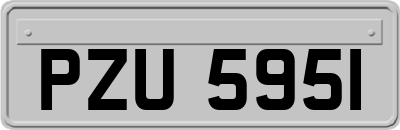 PZU5951