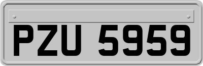 PZU5959