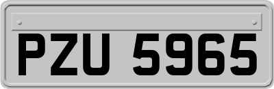 PZU5965