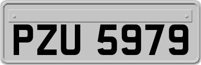 PZU5979