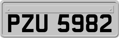 PZU5982