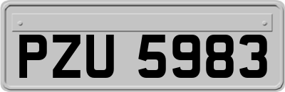 PZU5983