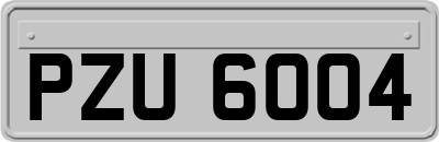 PZU6004