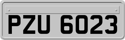 PZU6023