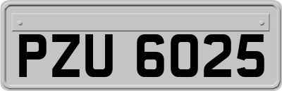 PZU6025