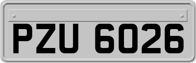 PZU6026